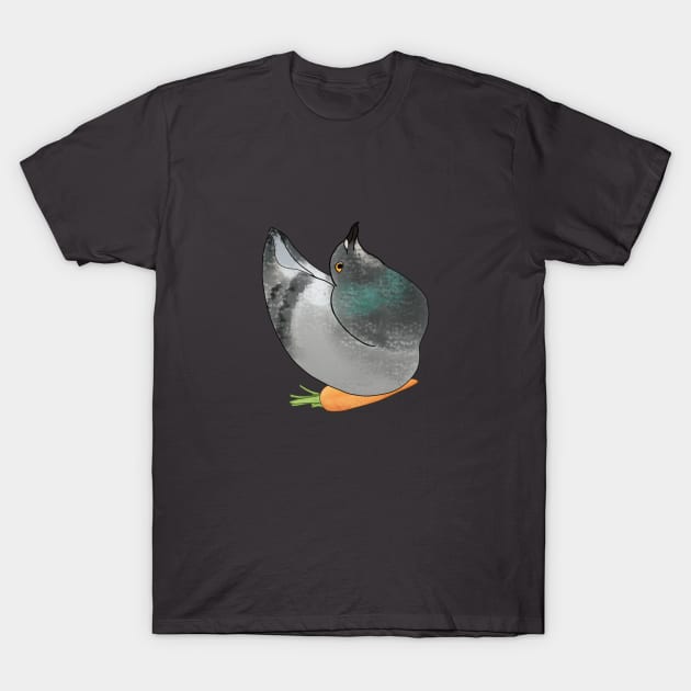 Iris and her Carrot T-Shirt by Great Lakes Pigeon Rescue